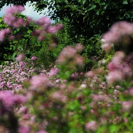 Séjour à la ferme Powierzowka *