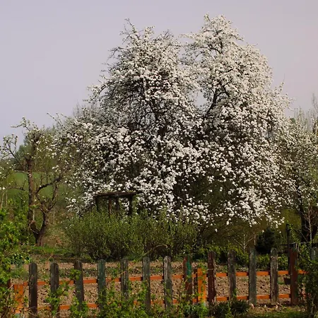 Powierzowka Vakantieboerderij Leśna