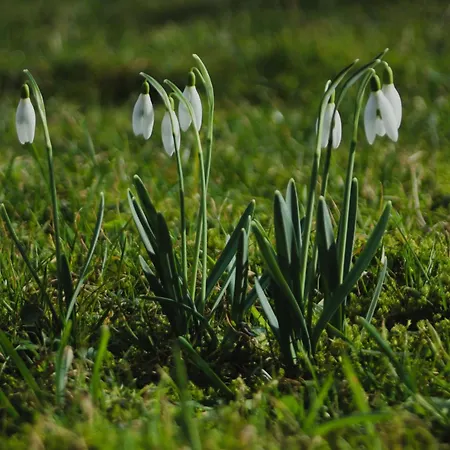 Séjour à la ferme Powierzowka Leśna