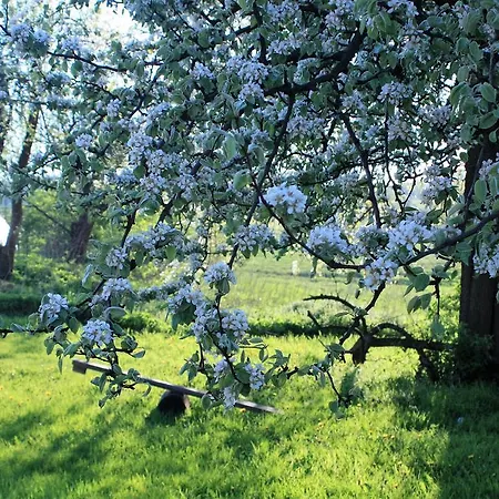 Vakantieboerderij Powierzowka