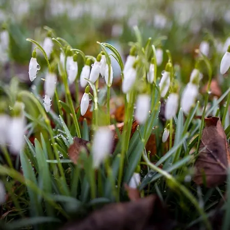 Séjour à la ferme Powierzowka *