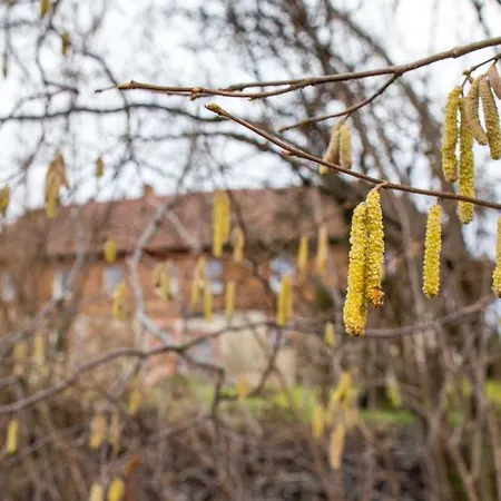 Séjour à la ferme Powierzowka *