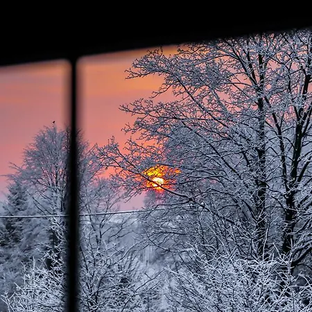Vakantieboerderij Powierzowka Leśna
