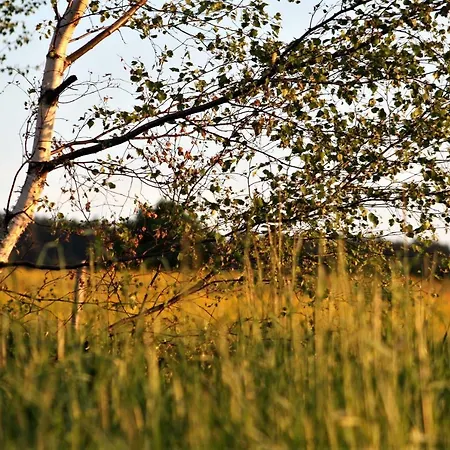 Powierzowka *