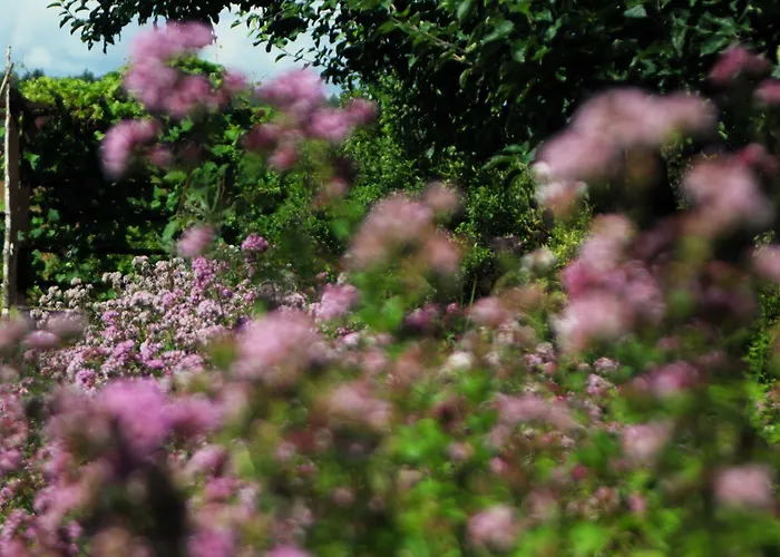 Фермерский дом Powierzowka *