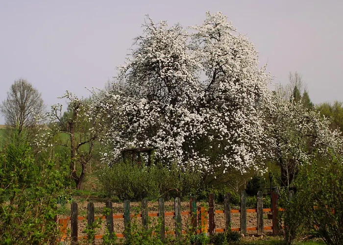 Powierzowka Фермерский дом Лесьна
