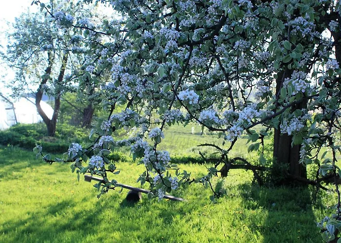 Фермерский дом Powierzowka