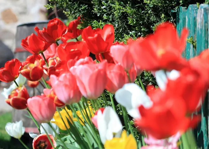 Powierzowka Лесьна