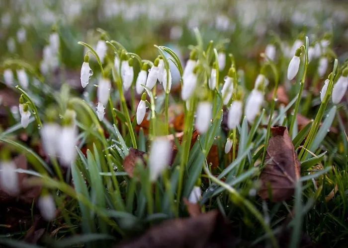 Фермерский дом Powierzowka *