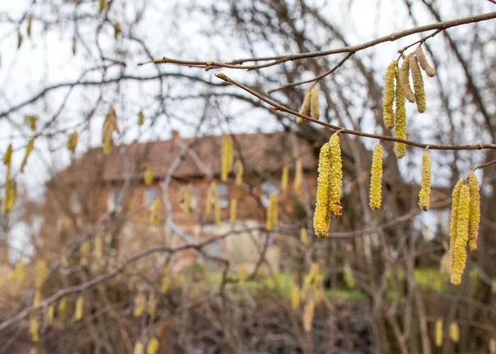 Фермерский дом Powierzowka *